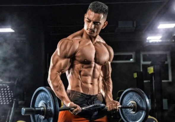 Bicep Workout