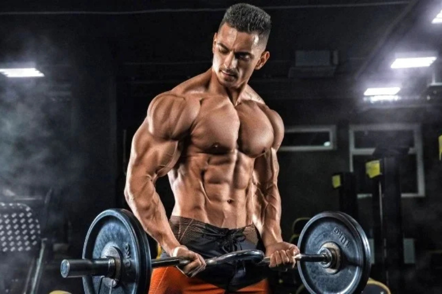 Bicep Workout