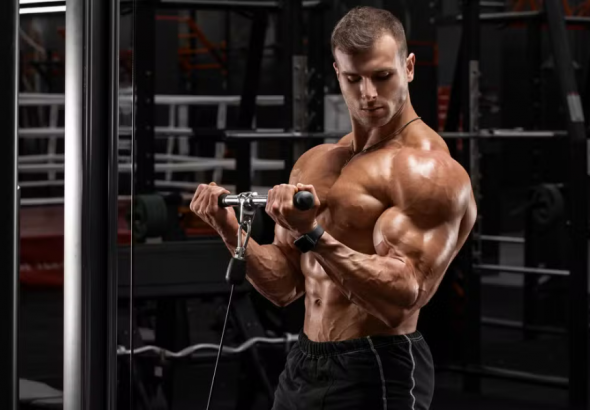 Bicep Workout