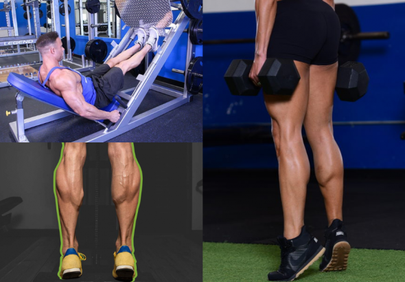 Calf Workout