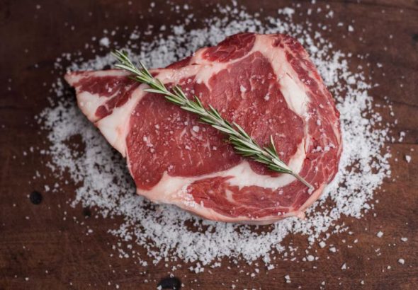 Carnivore Diet