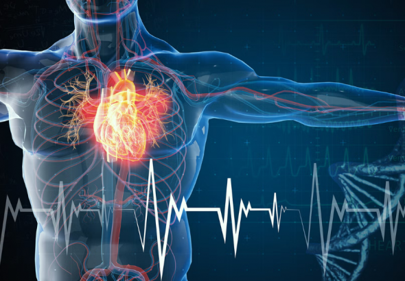 Metabolic Health