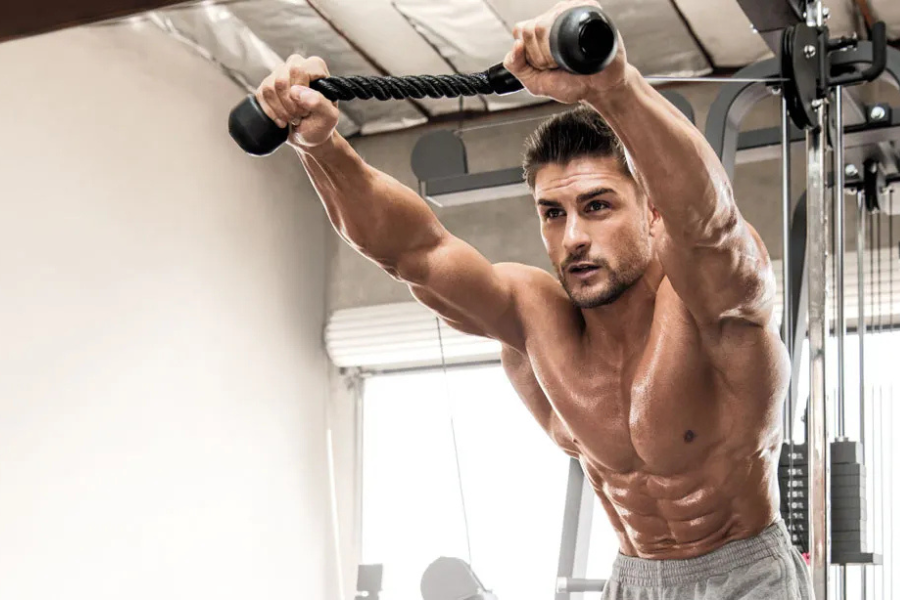 Tricep Workout